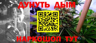 дмт Гатчина