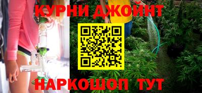 дмт Гатчина