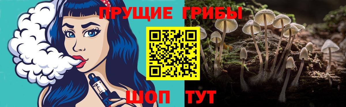 Псилоцибиновые грибы Psilocybine cubensis Канск