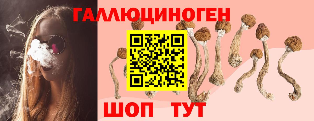 Псилоцибиновые грибы мицелий  Псилоцибиновые грибы мицелий  Канск  наркота  Вход с VPN 